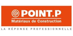 Point P